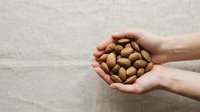 Person with medium skin tone holding handful of almonds in cupped hands against neutral background. Suitable for nutrition, healthy eating, wellness and food photography projects.