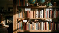 Cozy home library with wooden bookshelves filled with colorful books and decorative items creating warm reading atmosphere for interior design projects.