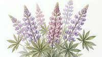 Watercolor lupine flowers in soft purple and pink tones with green leaves on cream background, botanical illustration for spring garden designs.