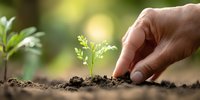 Hand planting small green seedling in fertile soil with natural bokeh background, symbolizing growth, new beginnings, and environmental care.