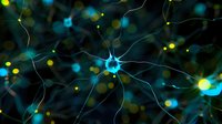 Glowing neurons with synaptic connections in blue and yellow colors against dark background illustrate brain cell network activity and neural communication patterns.