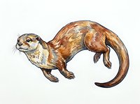 Brown otter with detailed fur texture isolated on white background, suitable for wildlife design, educational materials, and print applications.