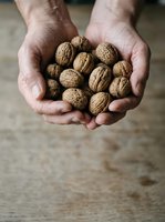 Male hands holding fresh walnuts in shell, displaying organic nuts for harvest, farming, nutrition, and healthy food concepts for culinary and agricultural use.