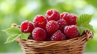 Fresh red raspberries in wicker basket with green leaves on blurred natural background for healthy eating and organic food concepts.