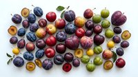 Colorful assortment of fresh plums in various sizes and hues scattered on white background. Mixed varieties including purple, red, yellow and green stone fruits.
