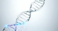 Double helix DNA molecule structure with transparent glass-like appearance and blue gradient lighting on white background, suitable for science, medical, and biotechnology design projects.