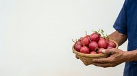 Senior male farmer holding wicker basket filled with fresh red apples against white background, suitable for agricultural, harvest, and organic produce marketing materials.