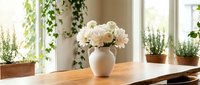 White chrysanthemum flowers in ceramic vase on wooden table with herbs and ivy plants by sunny window creating peaceful home interior atmosphere.