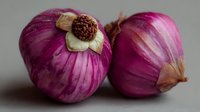 Fresh purple red onions with papery skin on neutral background for culinary cooking ingredients and healthy organic vegetable recipes.