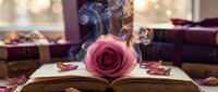 Pink rose with magical smoke emerging from open book surrounded by petals, creating enchanted literary atmosphere for fantasy, romance, and creative storytelling projects.