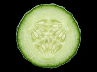 Cucumber slice cross-section isolated on transparent background, ready for culinary design, food packaging, recipe graphics, t-shirt prints, stickers, and print-on-demand products.