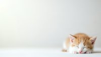 Adorable orange and white kitten sleeping peacefully on clean white surface with soft neutral background for pet care and animal wellness content.