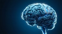 Digital brain with glowing neural networks and circuit patterns on blue background for technology, artificial intelligence and neuroscience concepts.