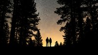 Adult couple silhouetted against starry night sky and golden sunset glow, standing together in forest clearing surrounded by tall evergreen trees, romantic outdoor scene for travel and nature themes.
