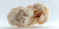 Natural sea sponge with soft beige texture on white background, used for skincare, bath accessories, and eco-friendly cleaning solutions.