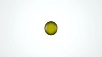 Green glossy sphere with realistic lighting and shadow effects isolated on white background for graphic design projects.