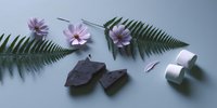 Dark chocolate pieces with pink daisy flowers, green fern leaves and white paper ribbons arranged on soft blue background in minimalist composition.