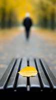 Yellow autumn leaf on wooden park bench with blurred silhouette of person walking away on path surrounded by golden fall foliage background.