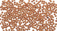 Scattered coriander seeds on white background. Organic spice ingredient for cooking and seasoning. Natural brown seeds isolated for culinary design projects.