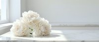White peony flowers arranged on wooden surface near window with soft natural lighting creating peaceful minimalist home decor atmosphere.