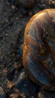 Weathered stone with natural rust and blue mineral patterns on dark pebbled surface. Abstract geological texture showcasing erosion and oxidation processes.