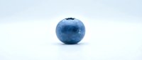 Single fresh blueberry with water droplets isolated on white background, suitable for food packaging, recipe blogs, and healthy eating designs.