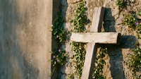 Weathered wooden cross stands against old stone wall covered with green ivy vines in peaceful cemetery setting for memorial and spiritual concepts.