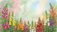 Watercolor garden border with colorful snapdragon flowers in pink, yellow, orange, red and white against a soft pastel sky background.