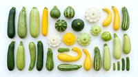 Fresh organic summer squash and zucchini varieties arranged in colorful rows on white background, perfect for healthy cooking and recipe designs.