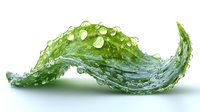 Fresh cucumber slice with water droplets on white background, macro photography showing crisp texture and natural moisture for food and beverage advertising.
