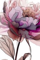 Delicate watercolor peony in shades of pink, purple and gray with translucent petals and subtle color transitions on white background. Suitable for wall art and textile design.