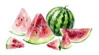 Watercolor watermelon slices and whole fruit isolated on white background for summer designs, healthy eating concepts, and tropical themed projects.