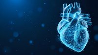 Digital wireframe human heart with glowing blue lines on dark background for medical technology healthcare innovation and cardiology research applications.