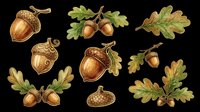 Acorns and oak leaves isolated on transparent background, ready for t-shirt design, clipart, stickers, sublimation, and print-on-demand products.