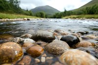 Mountain stream with smooth river rocks in foreground, flowing water and green hills in background creates serene wilderness landscape for nature photography.