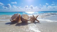 Seashells and starfish on sandy tropical beach with turquoise ocean waves and bright sunlight reflecting on calm water surface. Summer vacation concept.