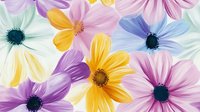 Colorful cosmos and daisy flowers with yellow, pink, and purple petals arranged on white background, suitable for floral designs and decorative projects.