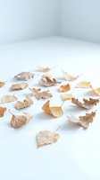 Scattered dried autumn leaves in warm brown and golden tones on clean white surface creating minimalist seasonal composition for fall decorating projects.