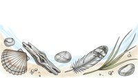 Beach treasures collection with seashells, driftwood, feather and pebbles on sandy shore. Natural coastal elements for summer vacation designs.