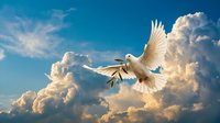 White dove flying with outstretched wings against dramatic blue sky with fluffy white clouds symbolizing peace freedom and spirituality.