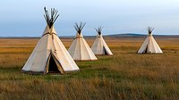 Traditional Native American teepees on golden prairie grassland at sunset, white canvas cone-shaped dwellings with wooden poles in natural wilderness setting.