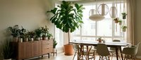 Modern dining room interior with wooden furniture, houseplants and natural light creating cozy Scandinavian style atmosphere for home decor inspiration.