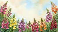Watercolor snapdragon flowers border in pink, purple, yellow, and red on soft sky background with copy space for greeting cards.