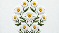 White daisy flowers with yellow centers arranged in decorative pattern on light background for spring design projects and botanical artwork.