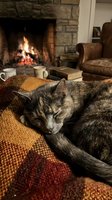 Gray tabby cat sleeping curled up on a warm knitted blanket by a glowing fireplace, cozy autumn home interior with mugs and books.