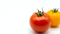 Fresh ripe red and yellow tomatoes isolated on white background for healthy cooking and organic food concepts.