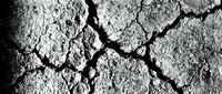 Cracked dry earth texture in black and white, showing deep fissures and rough surface detail for backgrounds, overlays, or design projects.