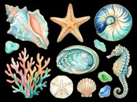 Watercolor ocean collection featuring isolated seashells, starfish, seahorse, coral, and sea glass on transparent background. Ready for t-shirt designs, clipart, stickers, sublimation, and print-on-demand projects.