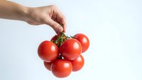 Hand holding fresh red tomatoes cluster on white background isolated for healthy cooking and organic food concepts.