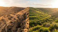 Dramatic hillside landscape showcasing contrast between arid brown terrain and lush green vegetation during golden hour sunset lighting.